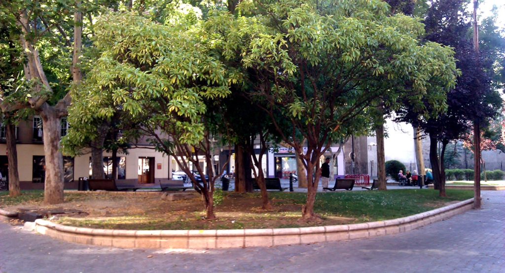Plaza de Las Tenerías de Zaragoza